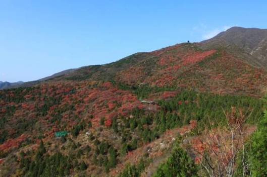 //itcs.gqwm8.org/news/2009/2009057/image001.jpg